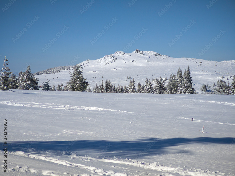 Fototapeta premium Panorama of Vitosha Mountain, Bulgaria