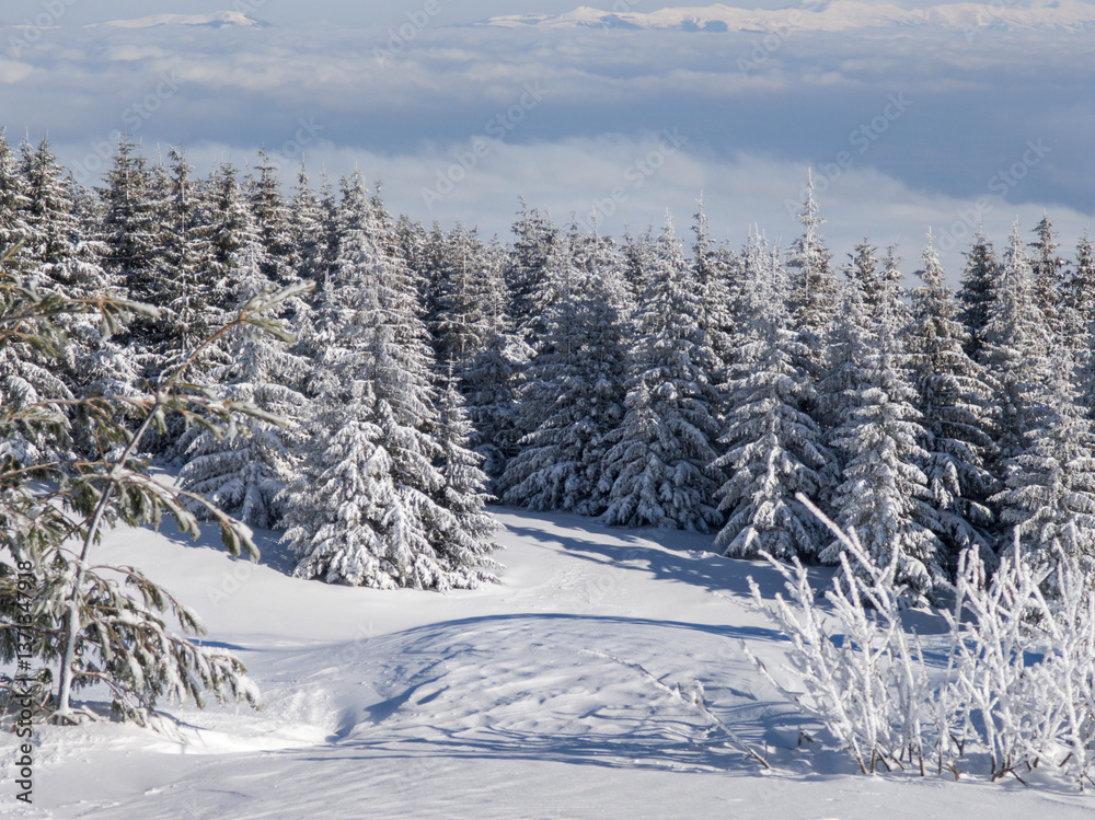 Panorama of Vitosha Mountain, Bulgaria Panorama of Vitosha Mountain, Bulgaria