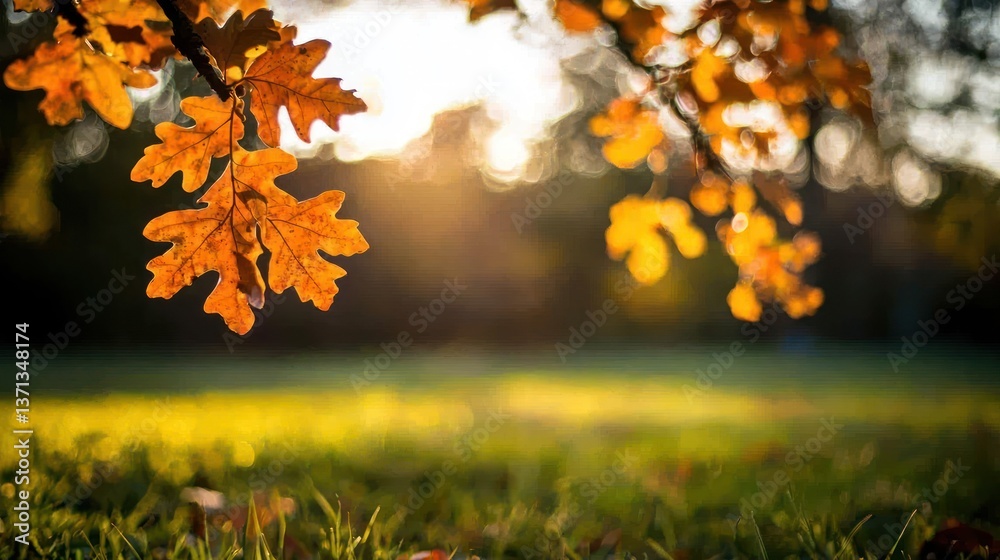 Autumn leaves in golden sunlight against a blurred park background, evoking tranquility Autumn leaves in golden sunlight against a blurred park background, evoking tranquility