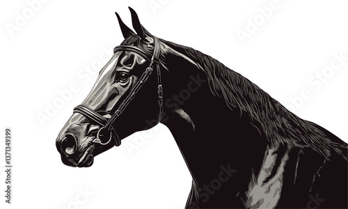 Elegant black horse head with bridle on white background - vector