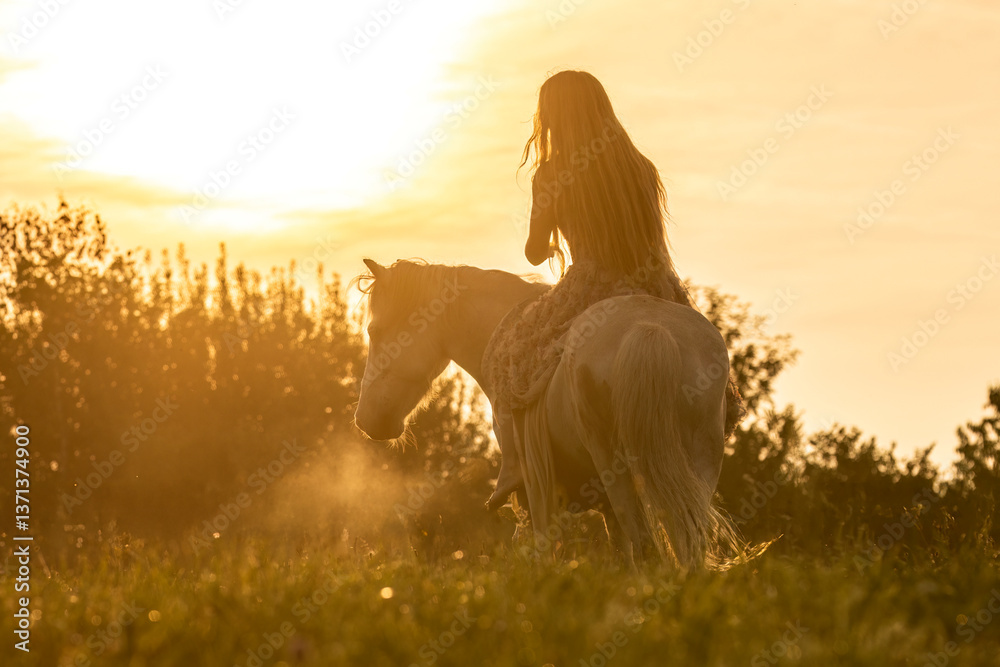 A female equestrian and her horse interacting together. Romantic freedom sunset scene