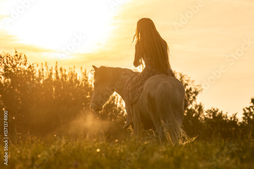 Obraz na płótnie A female equestrian and her horse interacting together. Romantic freedom sunset scene w salonie