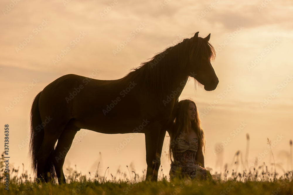 A female equestrian and her horse interacting together. Romantic freedom sunset scene