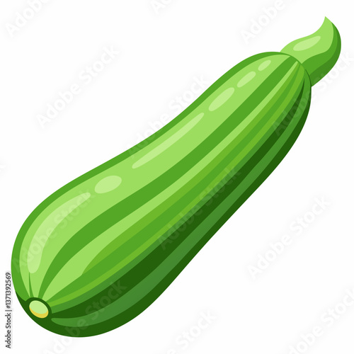 fresh green zucchini with smooth texture