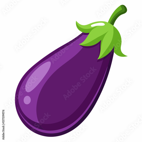 eggplant vector illustration