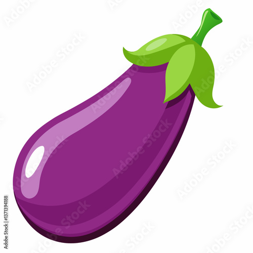 eggplant vector illustration