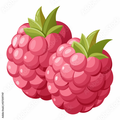 plump raspberries with soft  textured surface