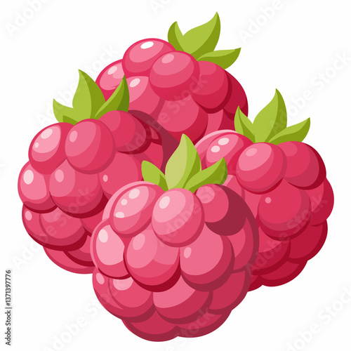 plump raspberries with soft  textured surface