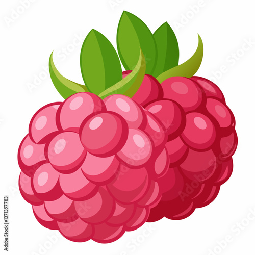 plump raspberries with soft  textured surface