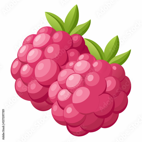 plump raspberries with soft  textured surface