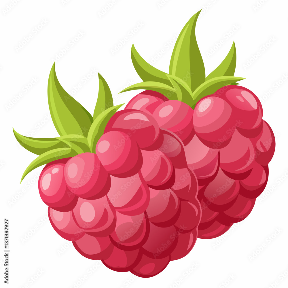 plump raspberries with soft textured surface plump raspberries with soft textured surface