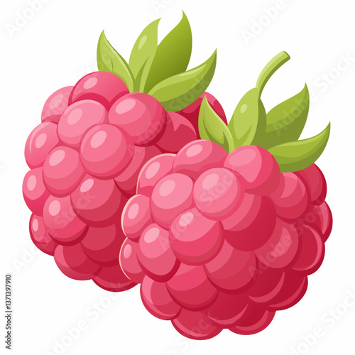 plump raspberries with soft  textured surface