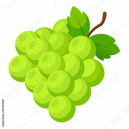 glossy green grapes in a clustered bunch