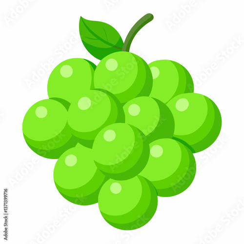 glossy green grapes in a clustered bunch