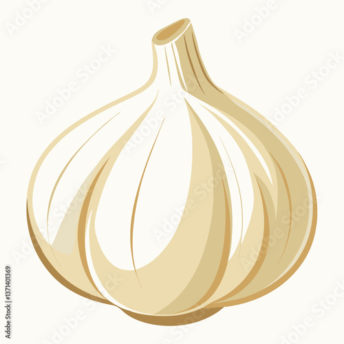 fresh white garlic bulb with papery skin