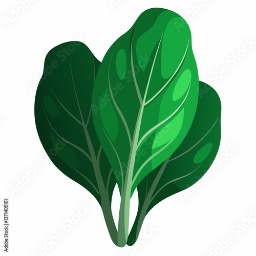 dark green spinach leaves with natural texture