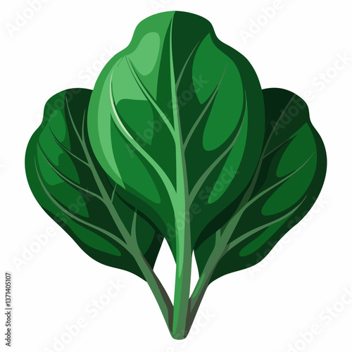 dark green spinach leaves with natural texture
