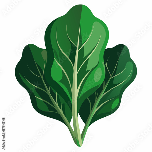 dark green spinach leaves with natural texture