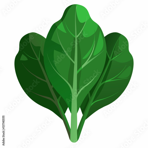 dark green spinach leaves with natural texture