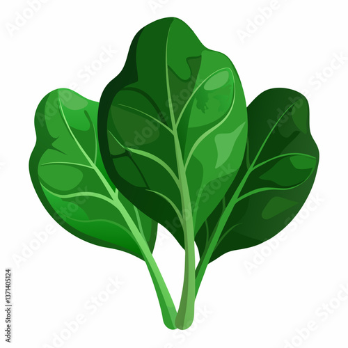 dark green spinach leaves with natural texture
