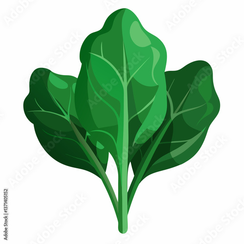 dark green spinach leaves with natural texture