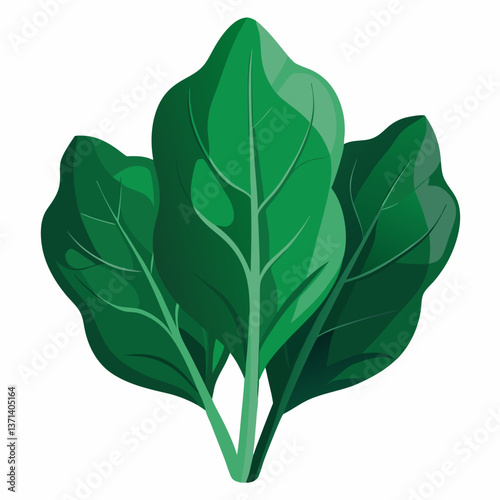 dark green spinach leaves with natural texture