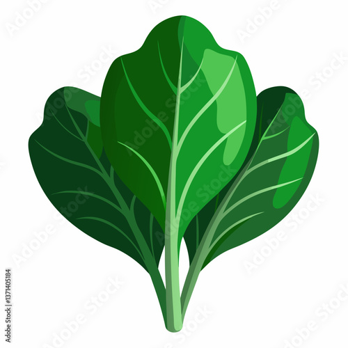 dark green spinach leaves with natural texture