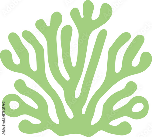 vector illustration of a green leaf seaweed