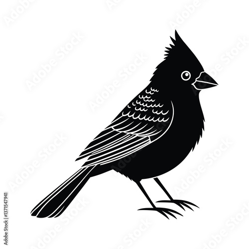 black silhouette of a bird