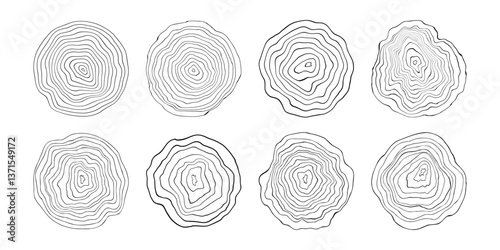Log cut, vector illustration, tree rings pattern, shades of gray