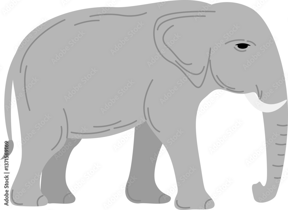 Elephant Animal Elephant Animal