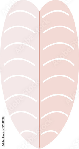 Leaf vein illustration
