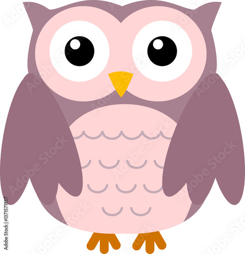 Night owl bird