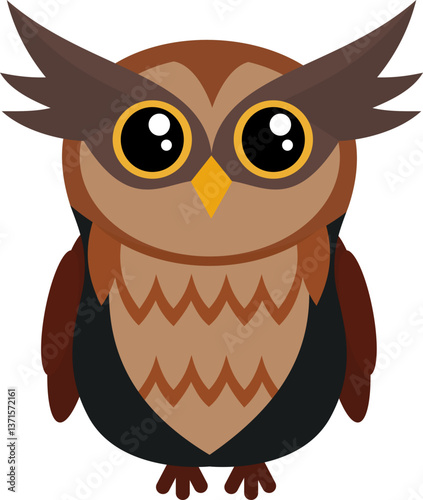 Night owl bird