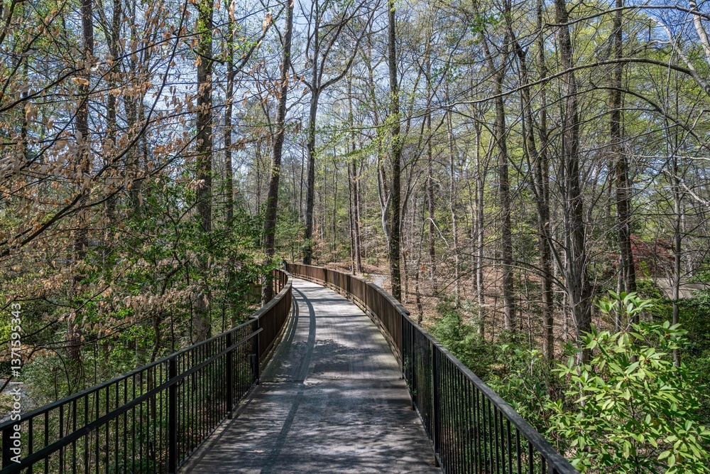 Fototapeta premium old car