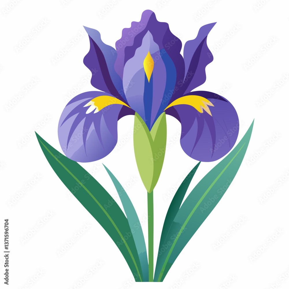 Naklejka premium Iris flower isolated vector