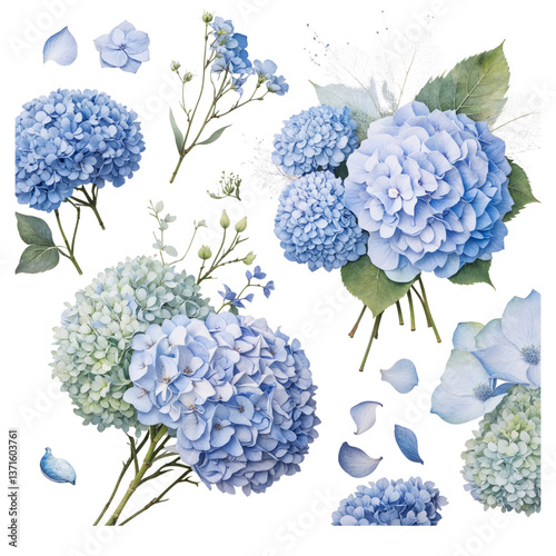 Watercolor Blue Hydrangea Flower Set – Elegant Botanical Floral Clipart Collection