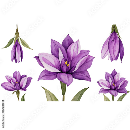 Watercolor Purple Floral Set – Lavender, Lilies and Spring Flowers Botanical Clipart