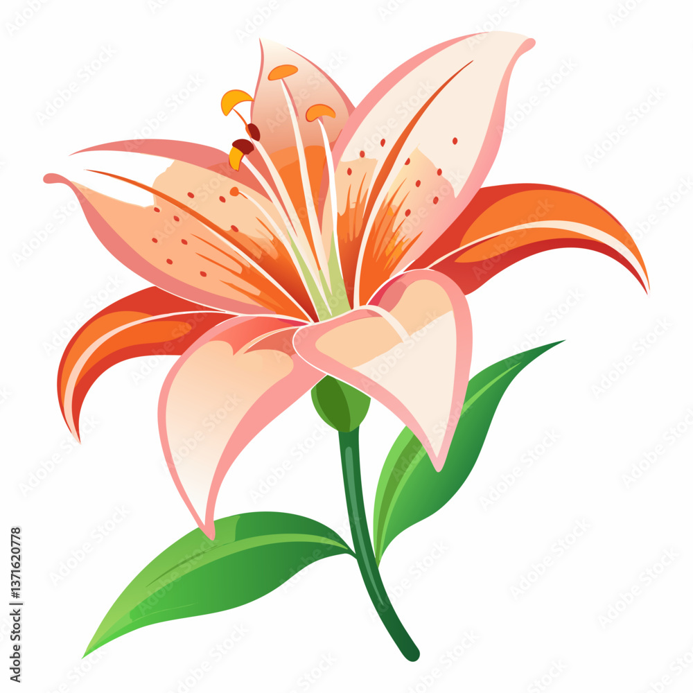 Naklejka premium Lily flower isolated vector