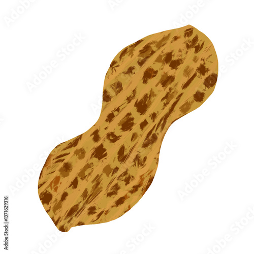 Illustration of close up peanut isolated