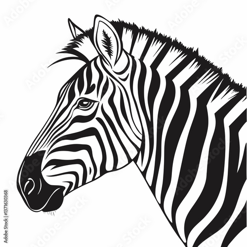 zebra head vector
