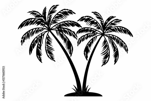 A Palm tree vector silhouette isolated on a white background, Tropical palm tree black clipart. Tropical palm tree