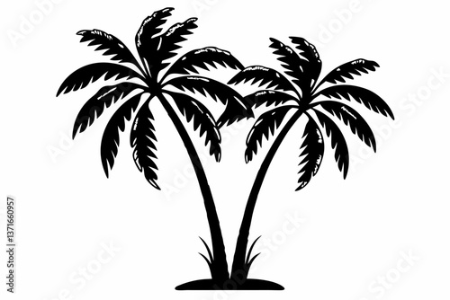 palm  tree is very beautiful
