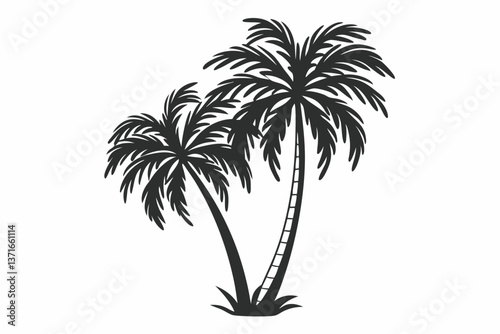 palm  tree is very beautiful
