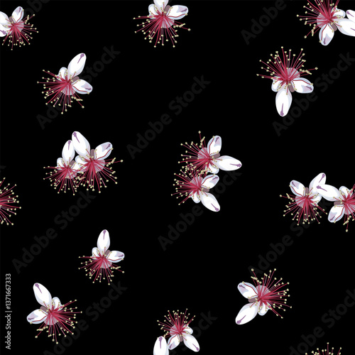 Seamless floral pattern with feijoa blossom. White flowers of tropical exotic plant with red stamens on black background. Acca sellowiana.