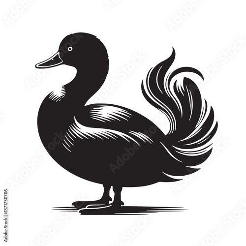 Black Madagascar Pochard Silhouette Vector, High Quality Illustration on White Background