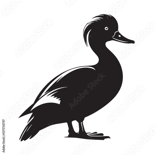 Black Madagascar Pochard Silhouette Vector, High Quality Illustration on White Background