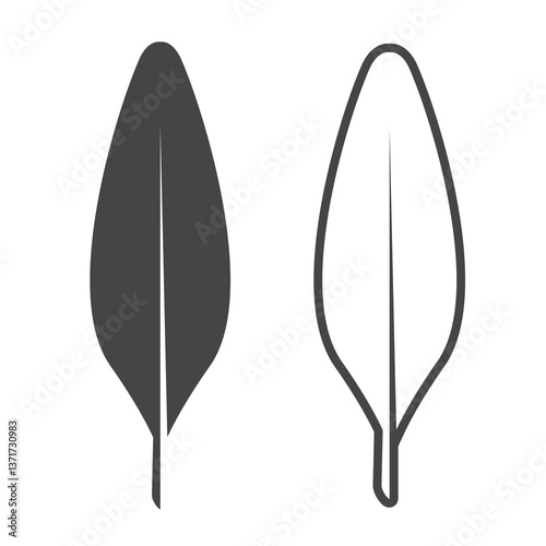 Two straight simple feathers, silhouette and outline. Bird feather simple silhouette. Flat vector illustration isolated on white background.