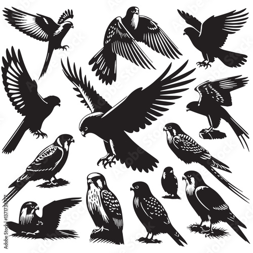 Black Mauritius Kestrel Silhouette Vector, High Quality Illustration on White Background photo