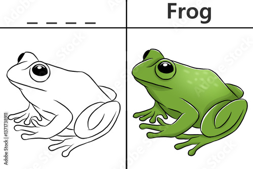 Frog coloring pages for kids and learn to recognize letters, animal recognition card media for various games in early childhood learning